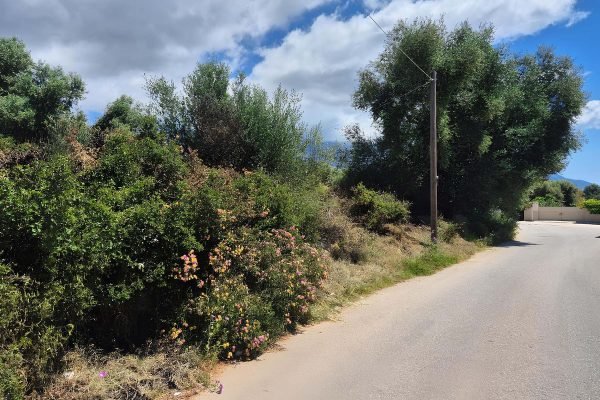 Αγροτεμάχιο στα Σπαρτιά - Κωδ. Ακινήτου 3422