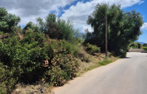 land in spartia - property id 3422