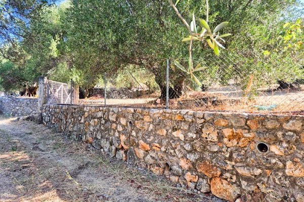 plot-3335-fenced plot