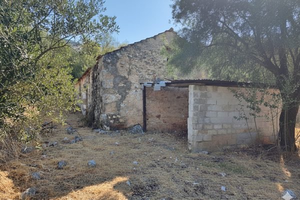 plot-3335-view of the property