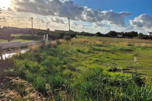 Αγροτεμάχιο διατίθεται προς πώληση στα Σβορωνάτα - Κωδ. Ακινήτου 3383