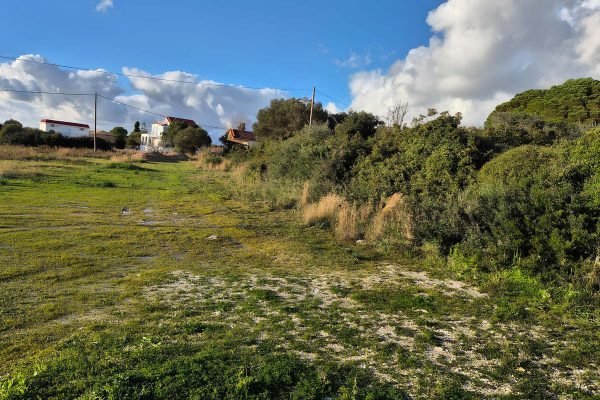 Αγροτεμάχιο στα Σβορωνάτα - Κωδ. Ακινήτου 3383
