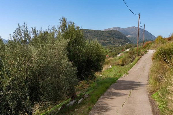 view of the parcel in Kontogourata - property id 3364