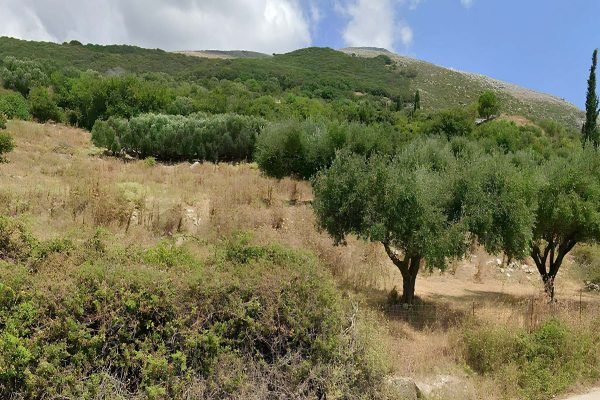 view of the parcel with trees in Kontogourata - property id 3365