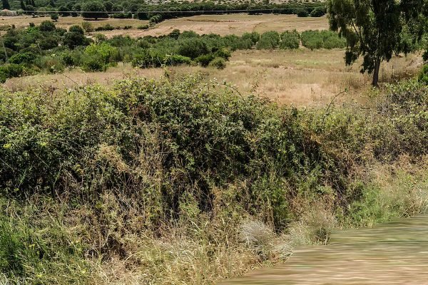 άποψη αγροτεμαχίου στα Κοντογουράτα - Κωδ. Ακινήτου 3366