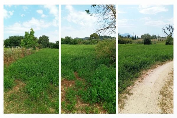 Αγροτεμάχιο στο Ληξούρι- Κωδ. Ακινήτου 3482