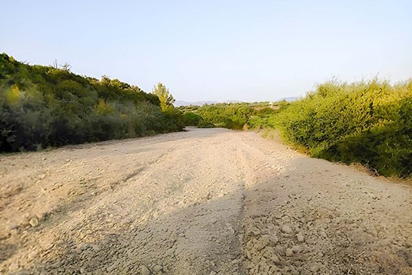 άποψη αγροτεμαχίου στην Παλική - Κωδ. Ακινήτου 2252