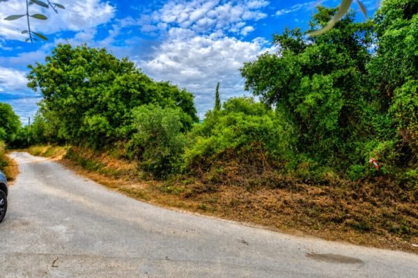 Αγροτεμάχιο με δέντρα - Κωδ. Ακινήτου 3462