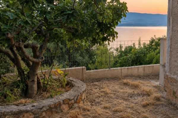 Plot in Farsa - property id 3465