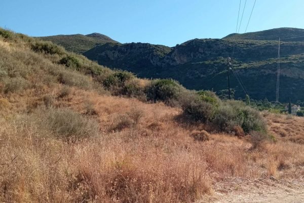 Διατίθεται οικόπεδο προς πώληση - Κωδ. Ακινήτου 3481