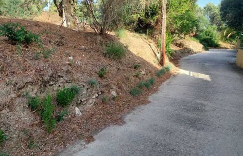Επίπεδο οικόπεδο - Κωδ. Ακινήτου 2910