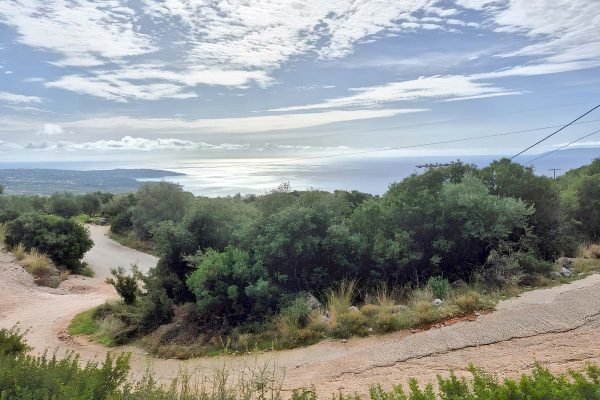 parcel with a public road in Vlachata - property id 3349