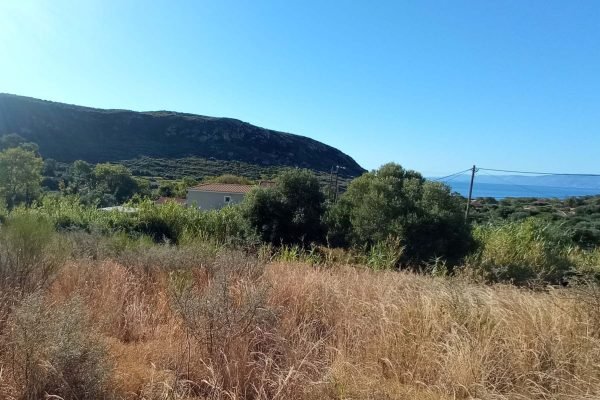 plot with trees- property id 3481
