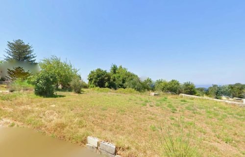 plot with trees - property id 3487