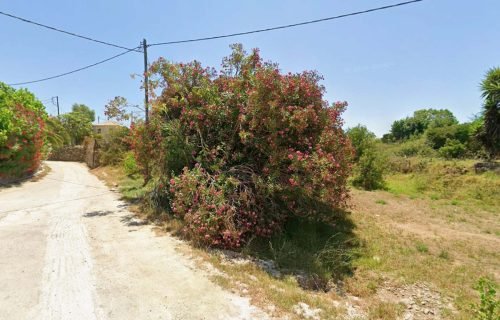 plot with trees - property id 3488