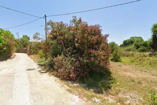 plot with trees - property id 3488