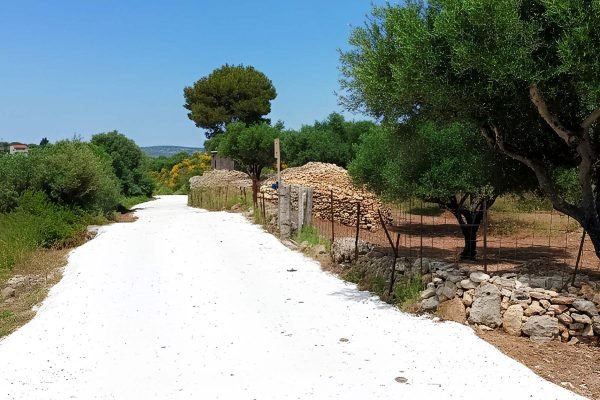 Δρόμος μπροστά από το αγροτεμάχιο στην Παλική - Κωδ. Ακινήτου 2338