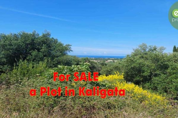 Πωλείται οικόπεδο στα Καλιγάτα - Κωδ. Ακινήτου 2910