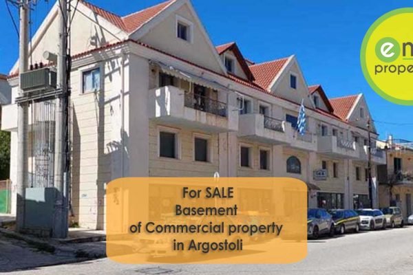 Basement of commercial building for sale - property id 3388