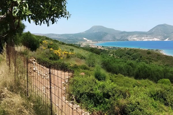 Αγροτεμάχιο με θέα στη θάλασσα και το βουνό στην Παλική - Κωδ. Ακινήτου 2338