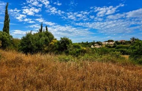 Θέα αγροτεμαχίου - Κωδ. Ακινήτου 3462