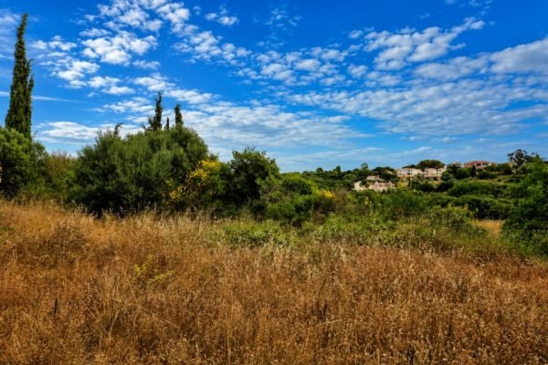 View of the parcel- property id 3462