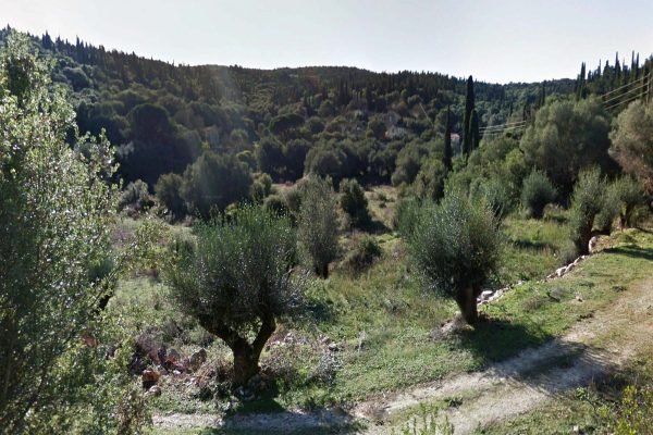 view of the plot - property id 3472