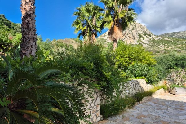 villa in a lush area in Katelios - property id 3341